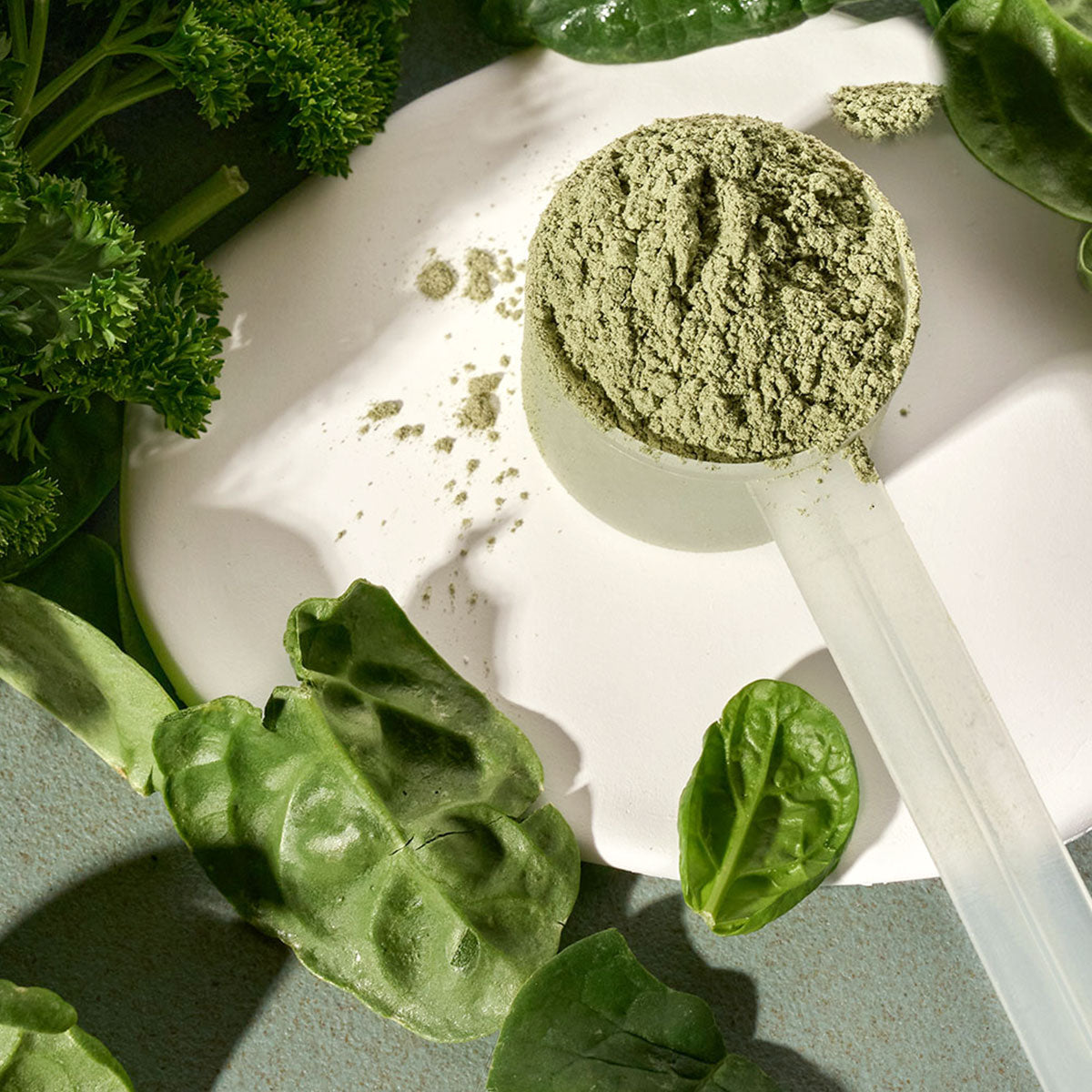 Daily Wellness – Twenty2 Nutrition